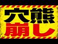 穴熊の崩し方|実戦で使える攻め筋とタイミング