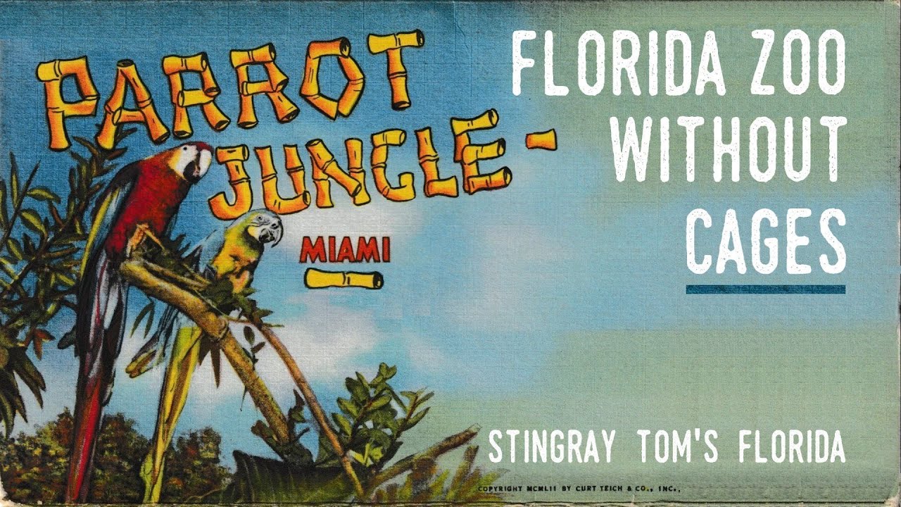 Parrot Jungle Zoo Without Cages A Deeper Dive into the Archive 13
