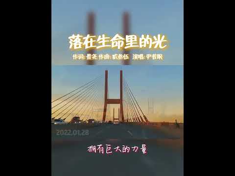 落在生命里的光