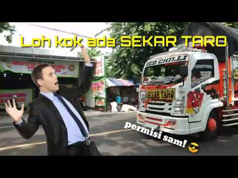 STORY WA TRUK  KETEMU SEKAR  TARO  YouTube