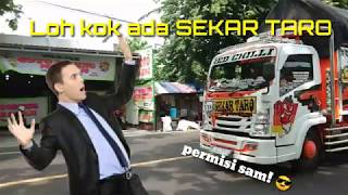 STORY WA TRUK | KETEMU SEKAR TARO