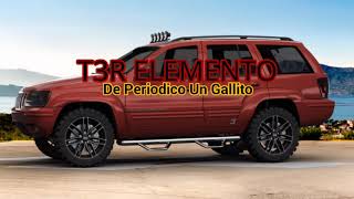 T3R ELEMENTO DE PERIODICO UN GALLITO