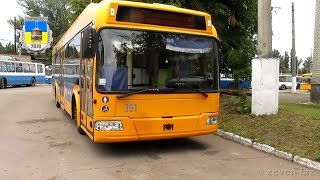 Черкаський тролейбус- БКМ 321 №391 29.07.2018 / Cherkasy trolleybus- BKM 321 №391