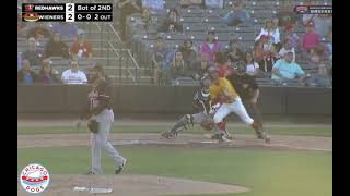 Chicago Dogs Baseball
