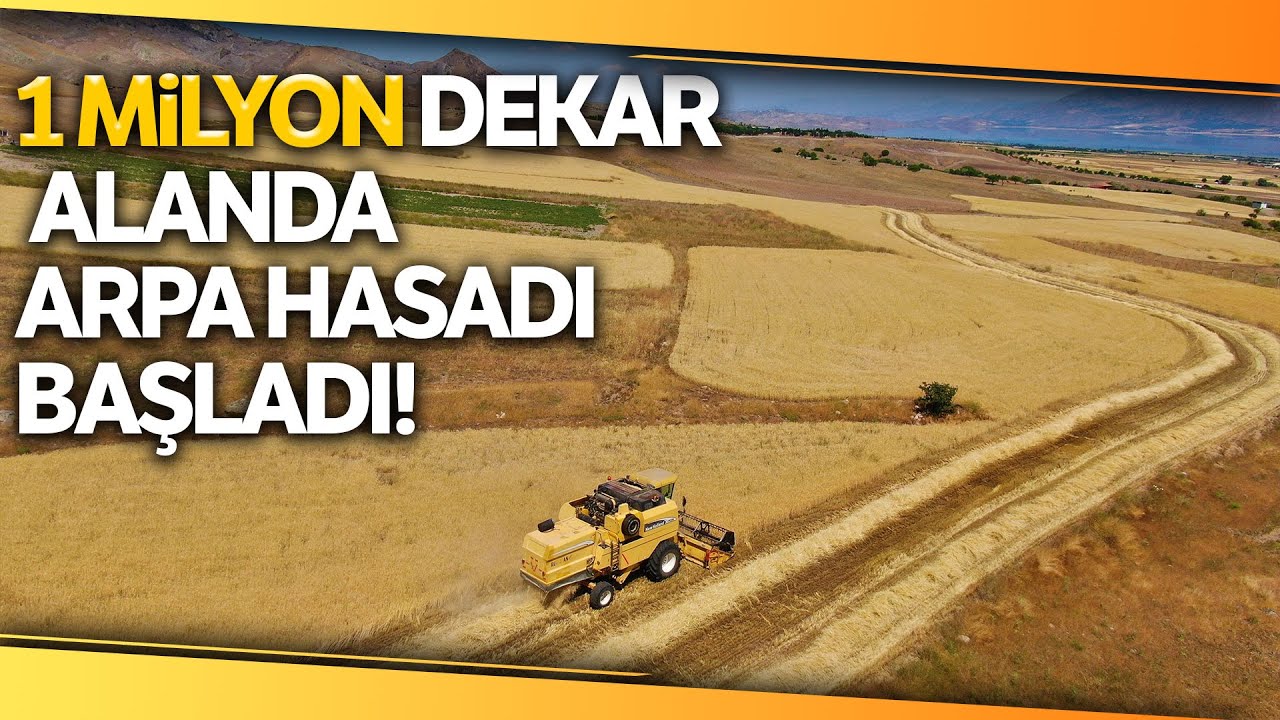 Elazığ’da Yılın İlk Arpa Hasadı Gerçekleştirildi