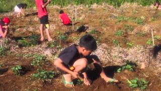 Pagbigsel  burning the fields HD 1080p