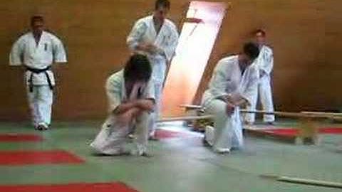 Kyokushin Bruchtest - Kamera-Mann in Gefahr