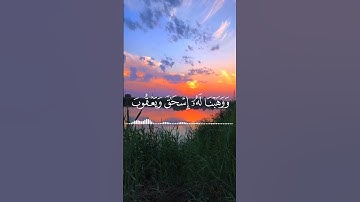 قلنا ينار كوني بردا وسلاما على ابراهيم سورة الأنبياء ماهر المعيقلي حلات واتس اب