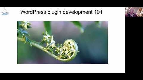WordPress plugin development 101 - WordPress Portsmouth Online Meetup - 15th December 2021
