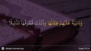 Al-Insan verse 14