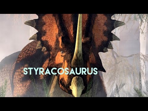 5 facts about Styracosaurus