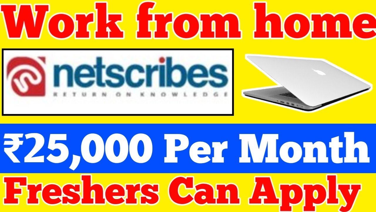Netscribes Work from home Job 2022English to Hindi Translator JobWork