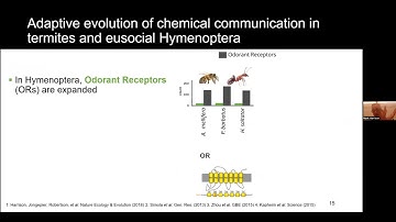 Genomics of healthy ageing in eusocial animals - MEEgene 23.04.2024