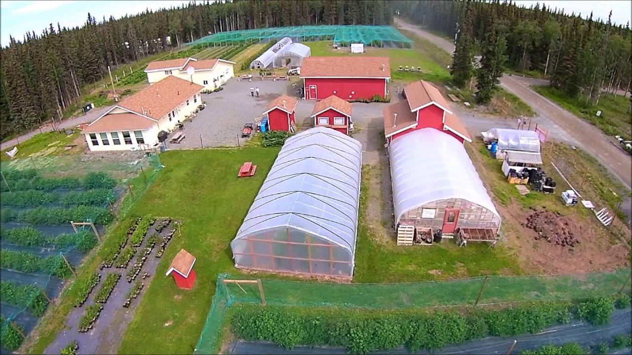 Alaska Berries Winery