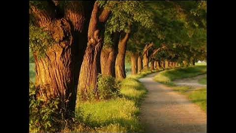 (وإذ قال ربك للملائكة إني جاعل في الأرض خليفة--) القارئ عمر الدريويز