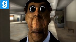 You can't hide from obunga