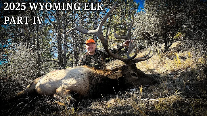 "Bull Down!" 2025 Public Land Wyoming Elk - Part IV