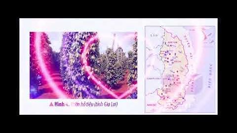 Bài 21:Dân cư và hoạt động sản xuất ở vùng Tây Nguyên