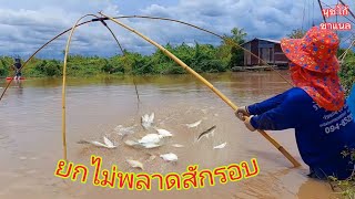 จุดนี้ปลาใหญ่เข้าดีคักมวนตลอดคลิป#fishing#ยกยอ#หาปลา#ยกสะดุ้ง#หว่านแหหาปลา