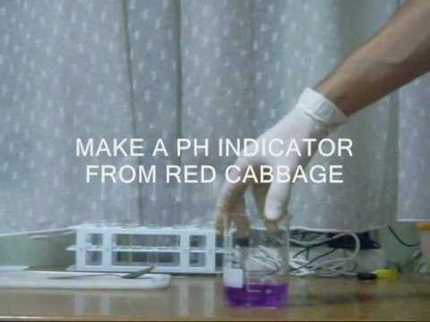 How To Make A Ph Indior From Red Cabbage-11-08-2015