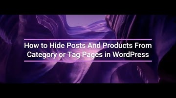 How to Hide Posts or Products by Category and Tag in WordPress