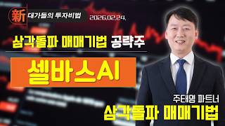 #셀바스AI [주태영] 차트 고수 필살기 | 新대가들의 투자비법 (20260224)
