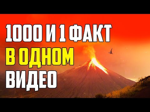 Видео: 1000 И 1 ФАКТ В ОДНОМ ВИДЕО