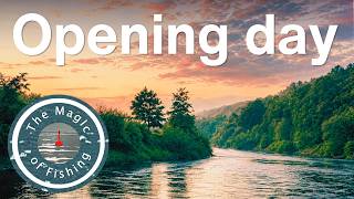 Catching the Severn's magnificent seven