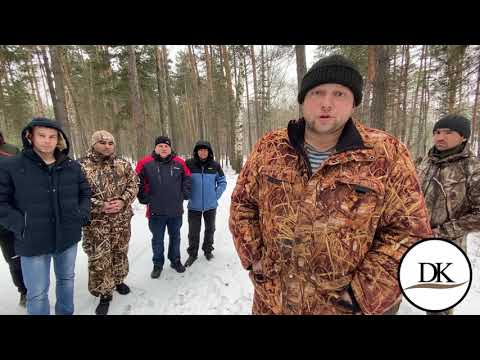 Видео: Животни кръгове се появиха в липецките полета - Алтернативен изглед