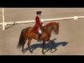 Escola portugesa de arte equestre  bolero dance of the horses