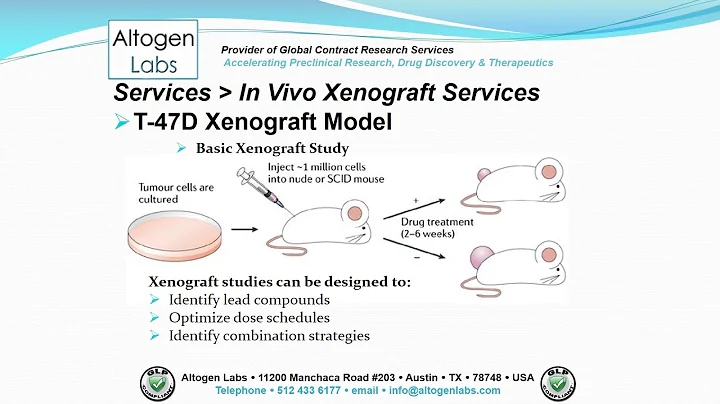 Altogen Labs T-47D Xenograft Service Breast Cancer