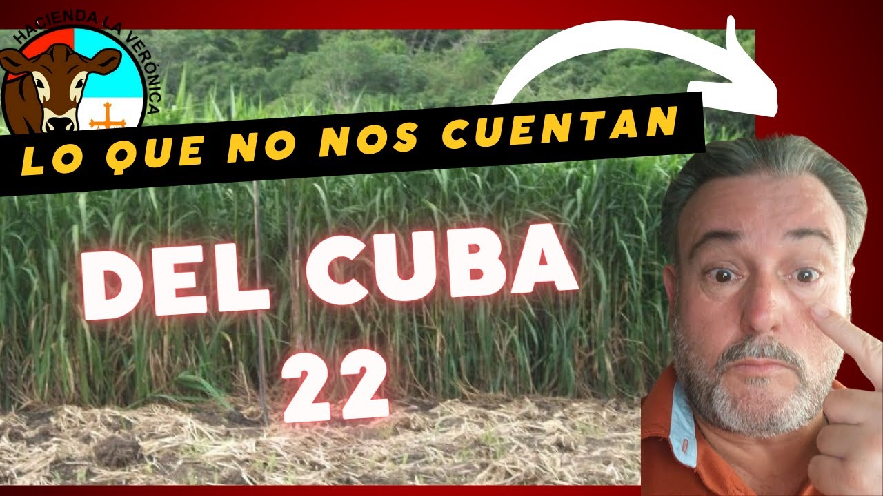 LO QUE NO NOS CUENTAN DEL CUBA 22