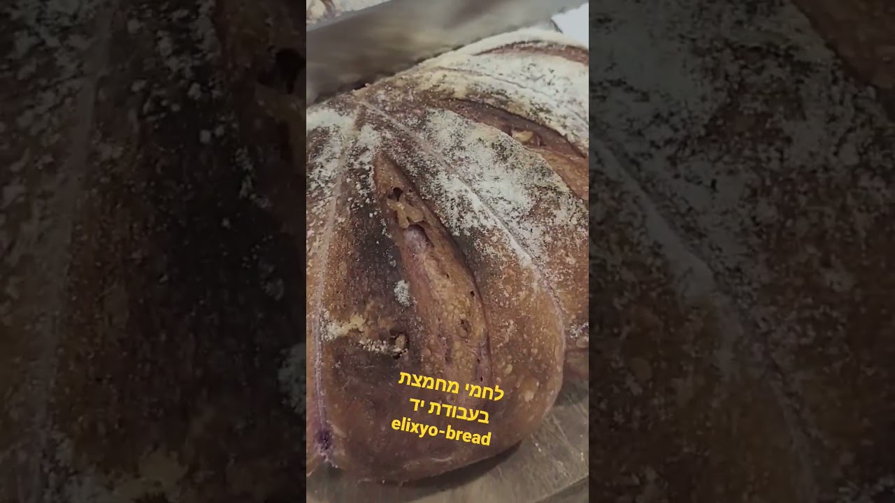 לחם מחמצת/שאור עם בטטה סגולה ואגוזים. elixyo-bread