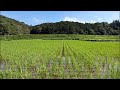 ここでしか話さない本音🌾