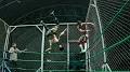 Profile Picture of STEEL CAGE MATCH - Dylan Fabrizio vs CJC - YouTubeon Google