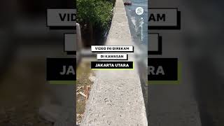 VIDEO INI BUKTI JAKARTA AKAN TENGGELAM?? #shorts