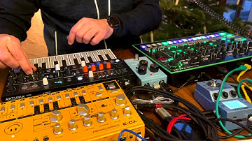 Jamuary 2021, 04 - Acid House Techno Live Jam - Behringer TD-3, Arturia Microfreak, Roland TR-8