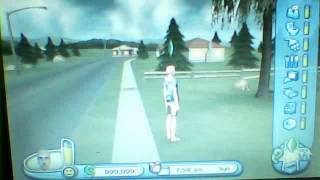 sims 2 pets wii cheat gnome