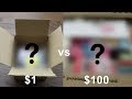 $1 vs $100 Mystery Slime Box