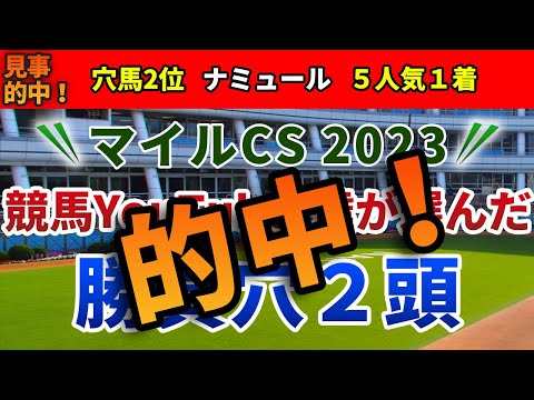 マイルCS2023 競馬YouTuber達が選んだ【勝負穴2頭】