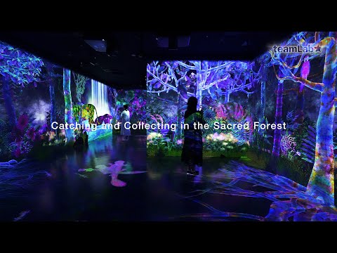 Catching and Collecting in the Sacred Forest