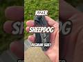 Kizer C01C Sheepdog - Micarta - 154cm
