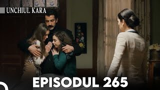 Unchiul Kara Episodul 265 | Subtitrare în limba română