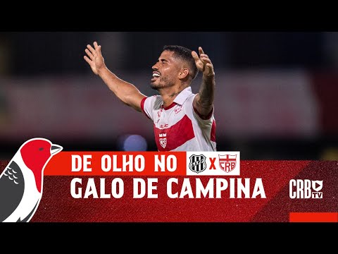 🗞️ KEEPING AN EYE ON GALO DE CAMPINA - PONTE PRETA VS. CRB