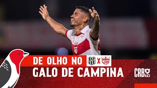 🗞️ DE OLHO NO GALO DE CAMPINA - PONTE PRETA X CRB