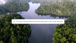 #Dia Mundial das Zonas Húmidas by CIFOR-ICRAF 51 views 3 months ago 1 minute, 25 seconds