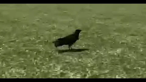 Qk9MSVZJQU5PIElORElP