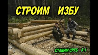 Строим избу.Ставим  сруб.Лесная изба # 1.