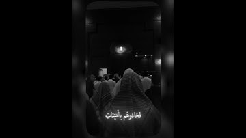 محمد اللحيدان -سورة الروم الاية 47  #allah #fyp #deen #راحة_نفسية