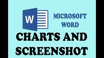 MS WORD 2013 - WORKING WITH CHARTS AND SCREENSHOT (PART 16) IN URDU / HINDI